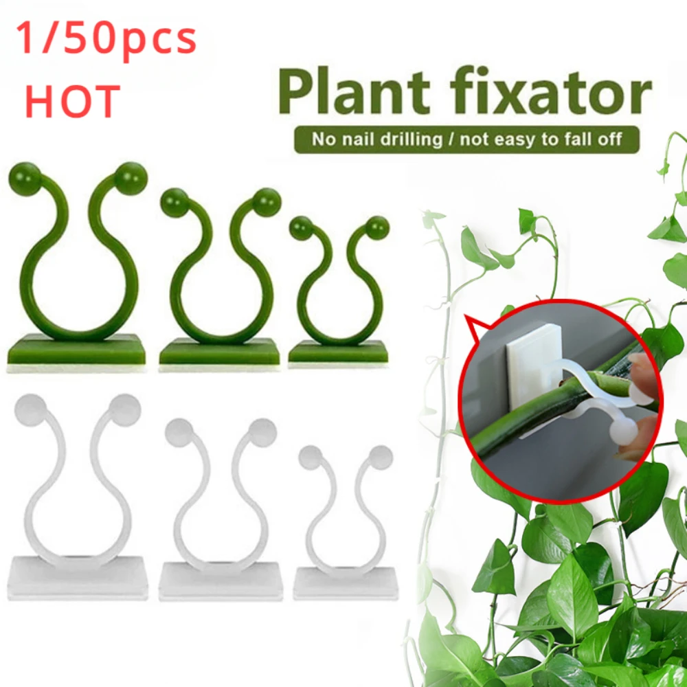 Plant Support Stake - 1/30/50Pcs For Garden Accsesories Plant Garden