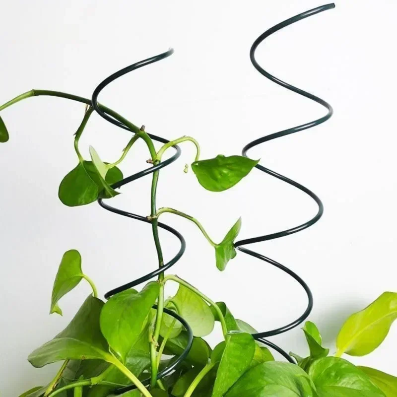 Climbing Plant Support Stake S - Plant Support Stake review and price