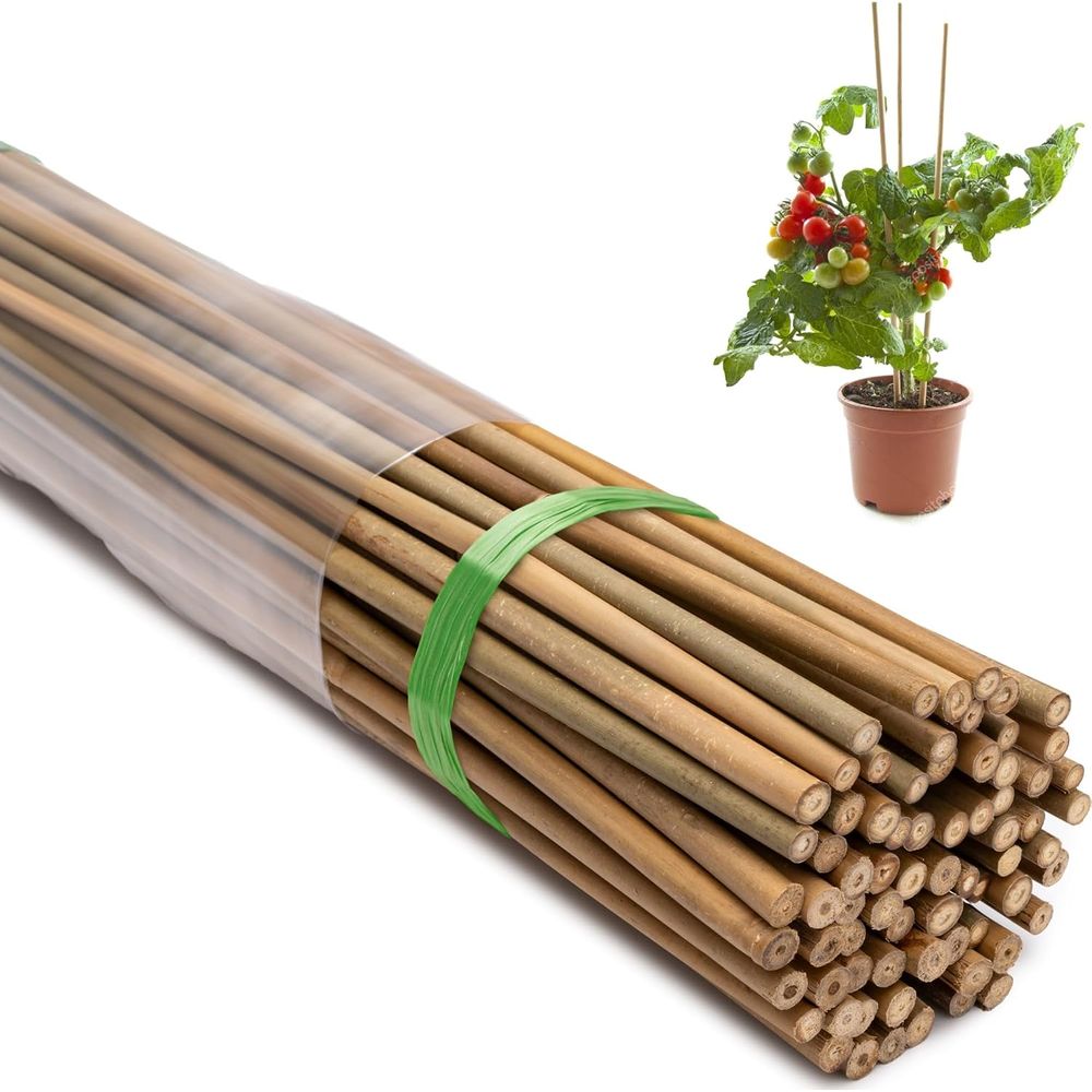 70-Pack 4-Foot Natural Bamboo  - Plant Support Stake review and price