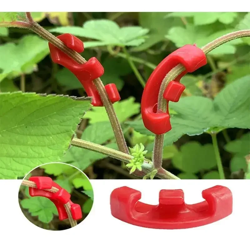 10-100Pcs 90 DegreePlant Train - Gardening Tools Lowes review and price