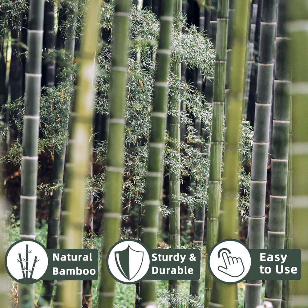 50 Pack Bamboo Plant Stakes fo - Plant Support Stake review and price