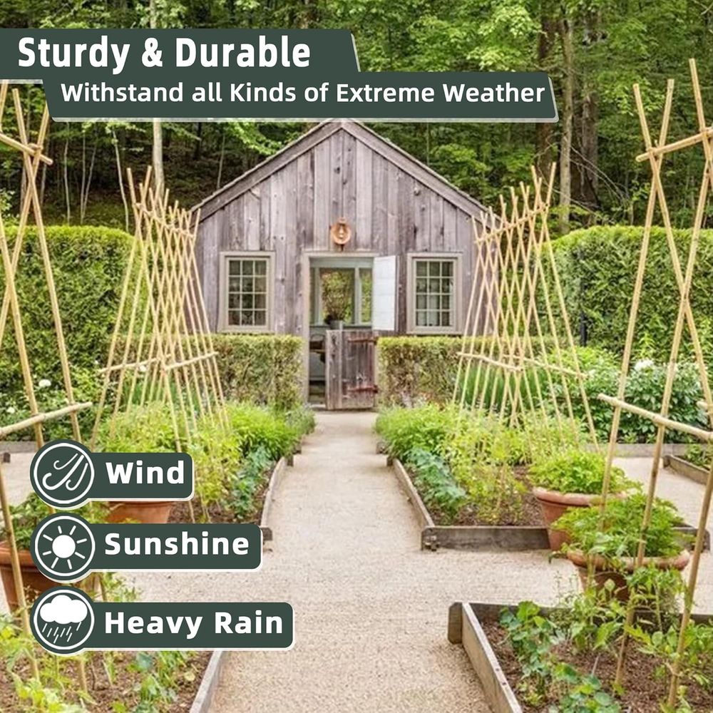 50 Pack Bamboo Plant Stakes fo - Plant Support Stake review and price