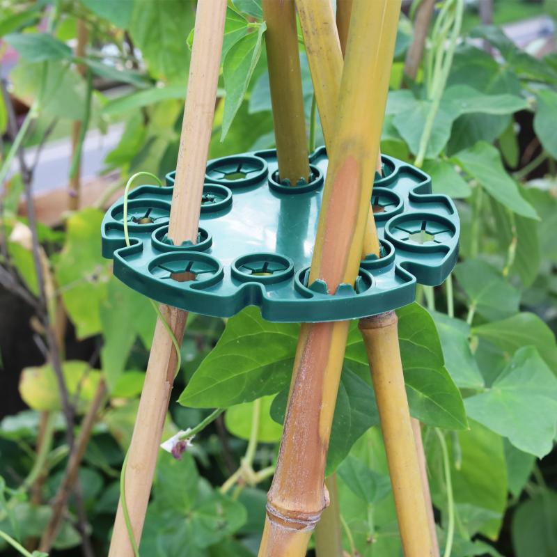 Garden Trellis Plastic Plant S - Plant Support Stake review and price