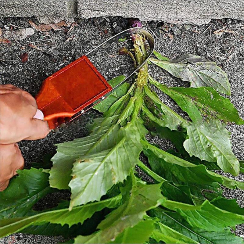 Garden Hand Loop Weeder Tool - - Gardening Tools Sharp review and price