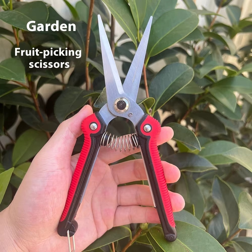 Professional Sharp Branch Scis - Gardening Tools Sharp review and price