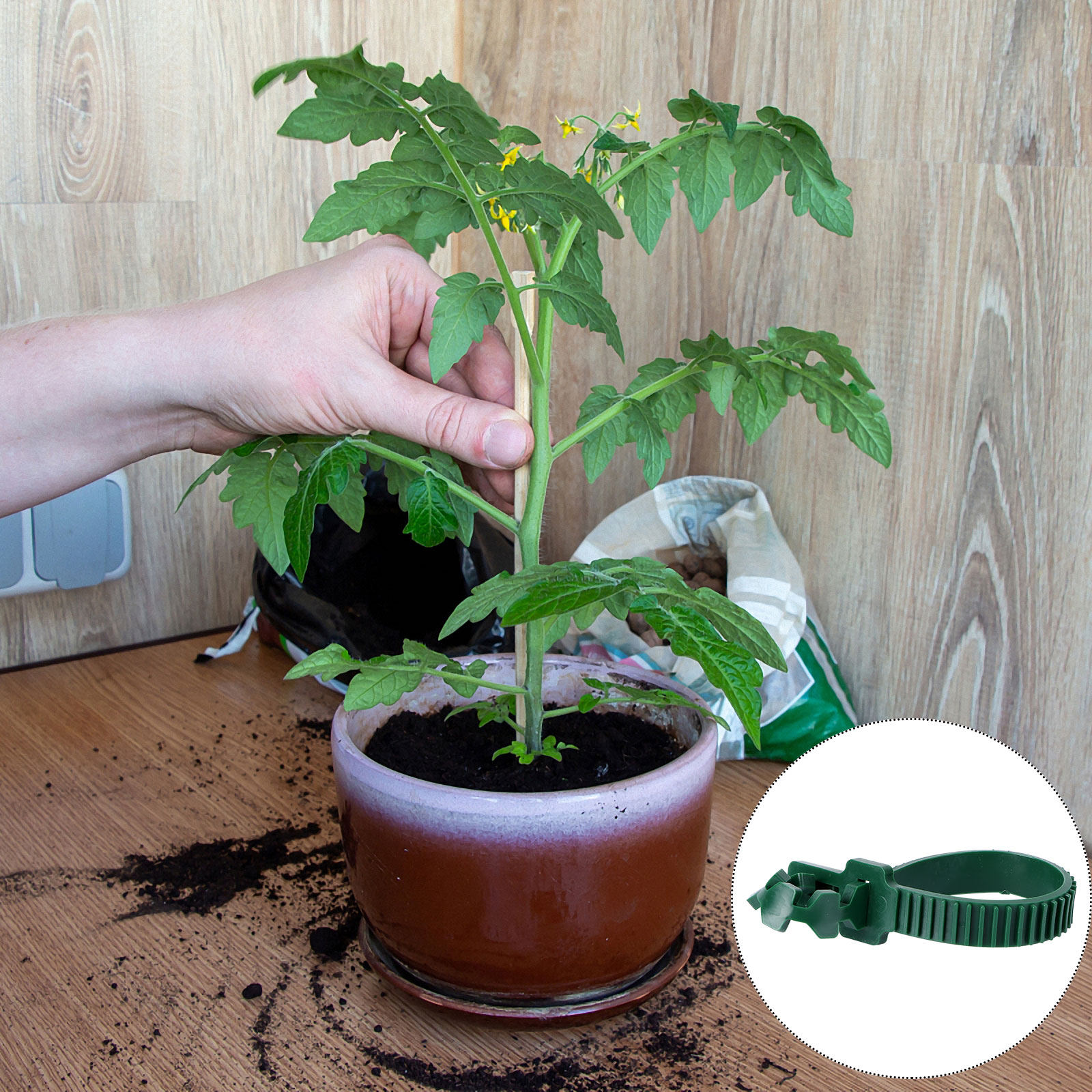 20Pcs Vine Fixing Buckle Garde - Plant Support Stake review and price