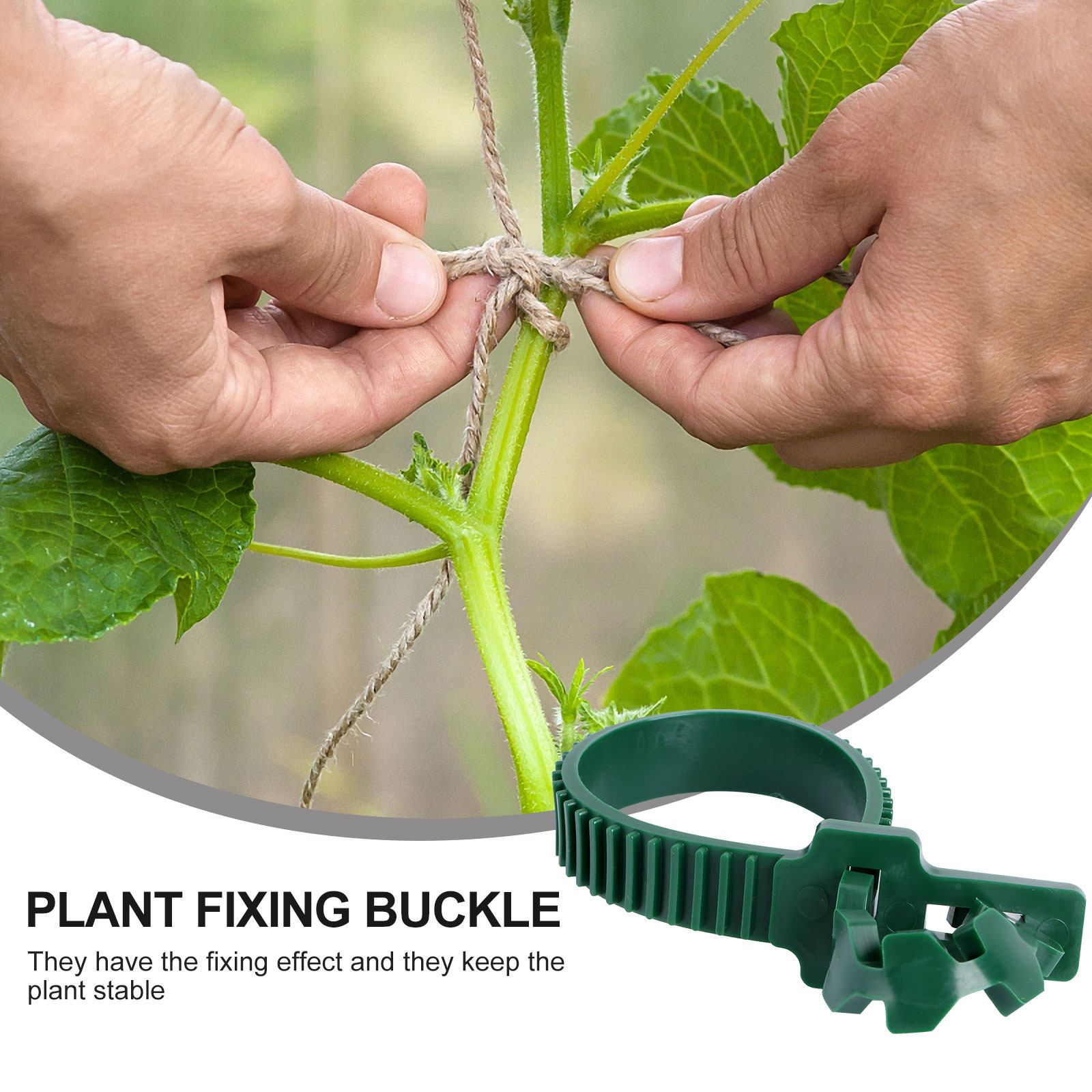 20Pcs Vine Fixing Buckle Garde - Plant Support Stake review and price