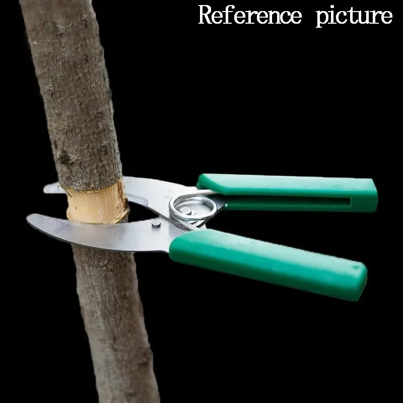 Sharp Stripping Peeling Knife  - Gardening Tools Sharp review and price
