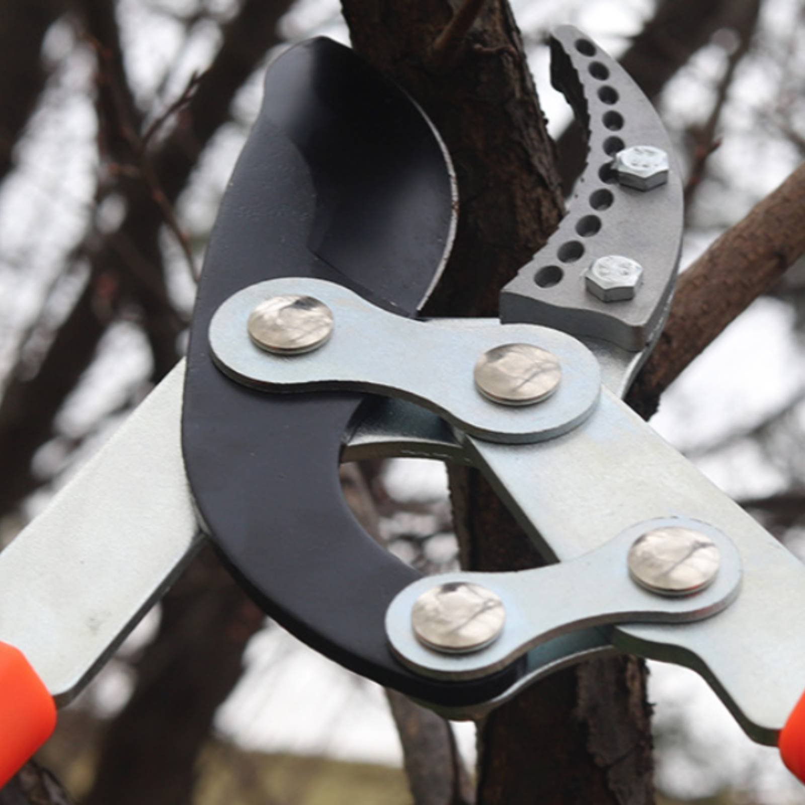 Telescopic Branch Pruners Shar - Gardening Tools review and price