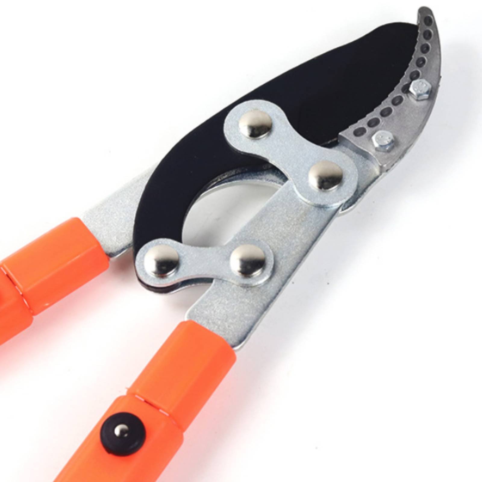 Telescopic Branch Pruners Shar - Gardening Tools review and price