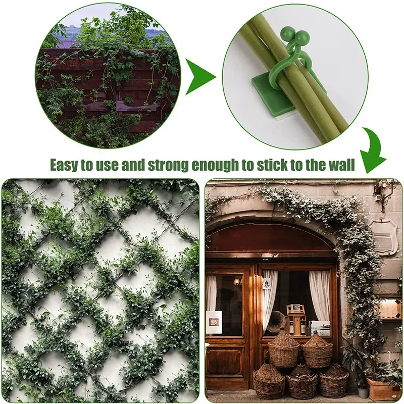 1/30/50Pcs For Garden Accsesor - Plant Support Stake review and price