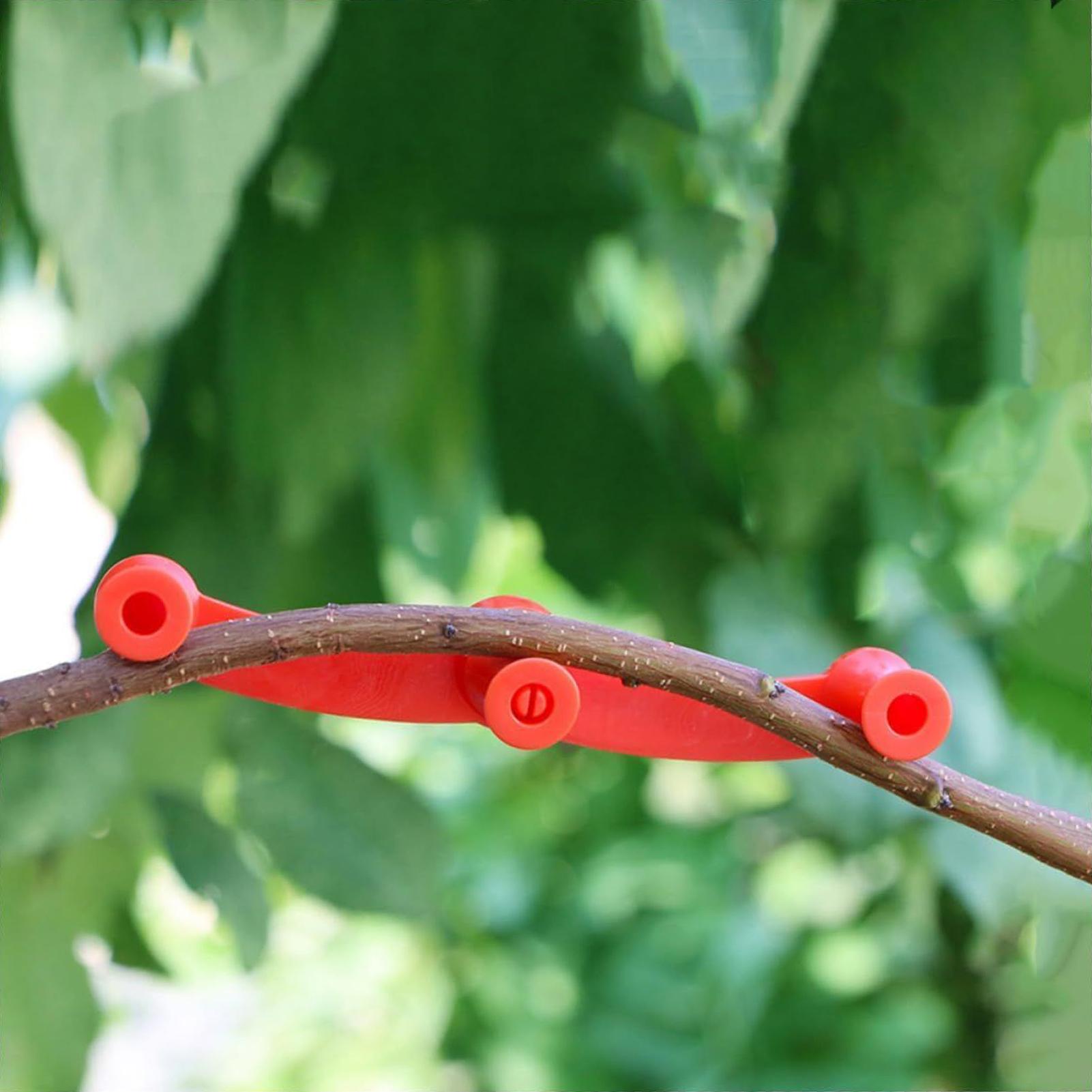10pcs Plant Training Clips Tre - Gardening Tools Lowes review and price