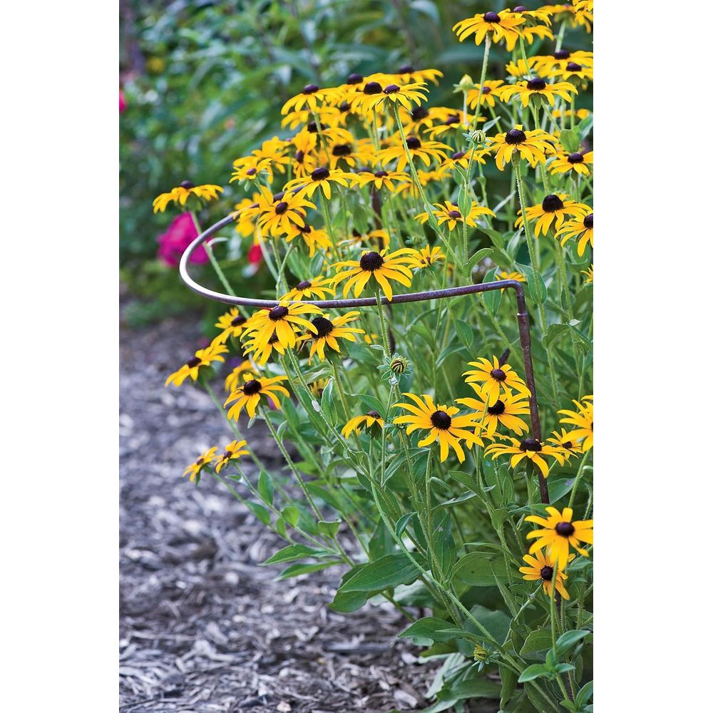 Metal Garden Plant Stakes | Du - Plant Support Stake review and price