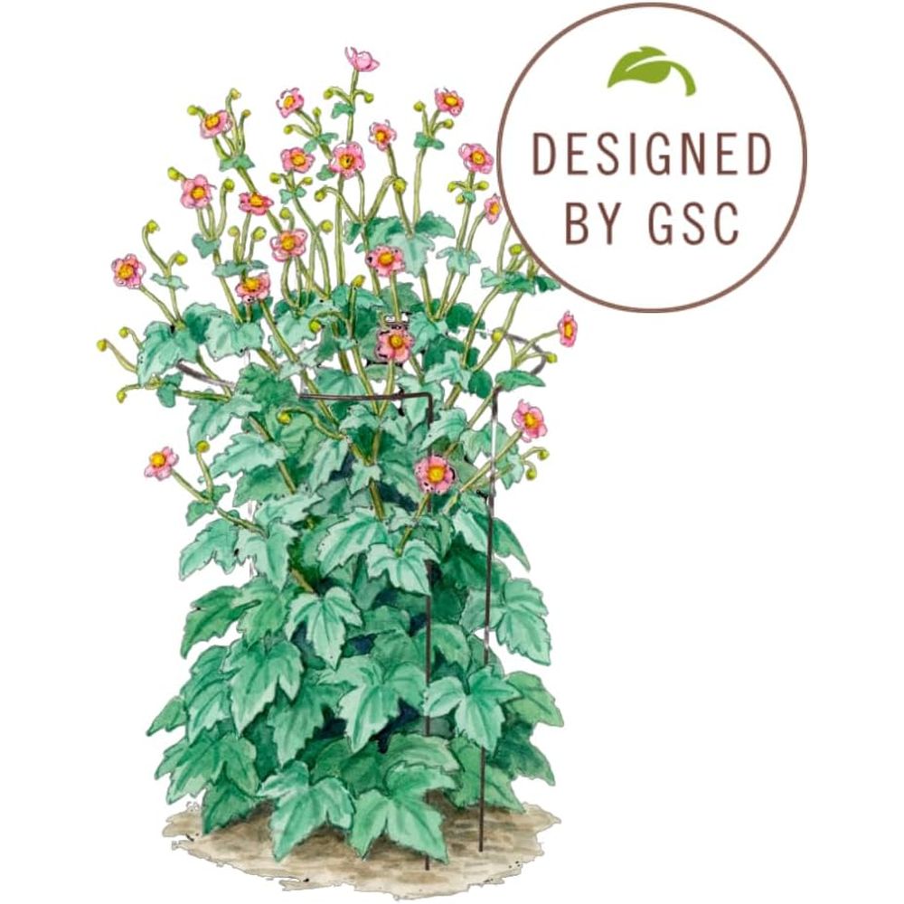 Metal Garden Plant Stakes | Du - Plant Support Stake review and price