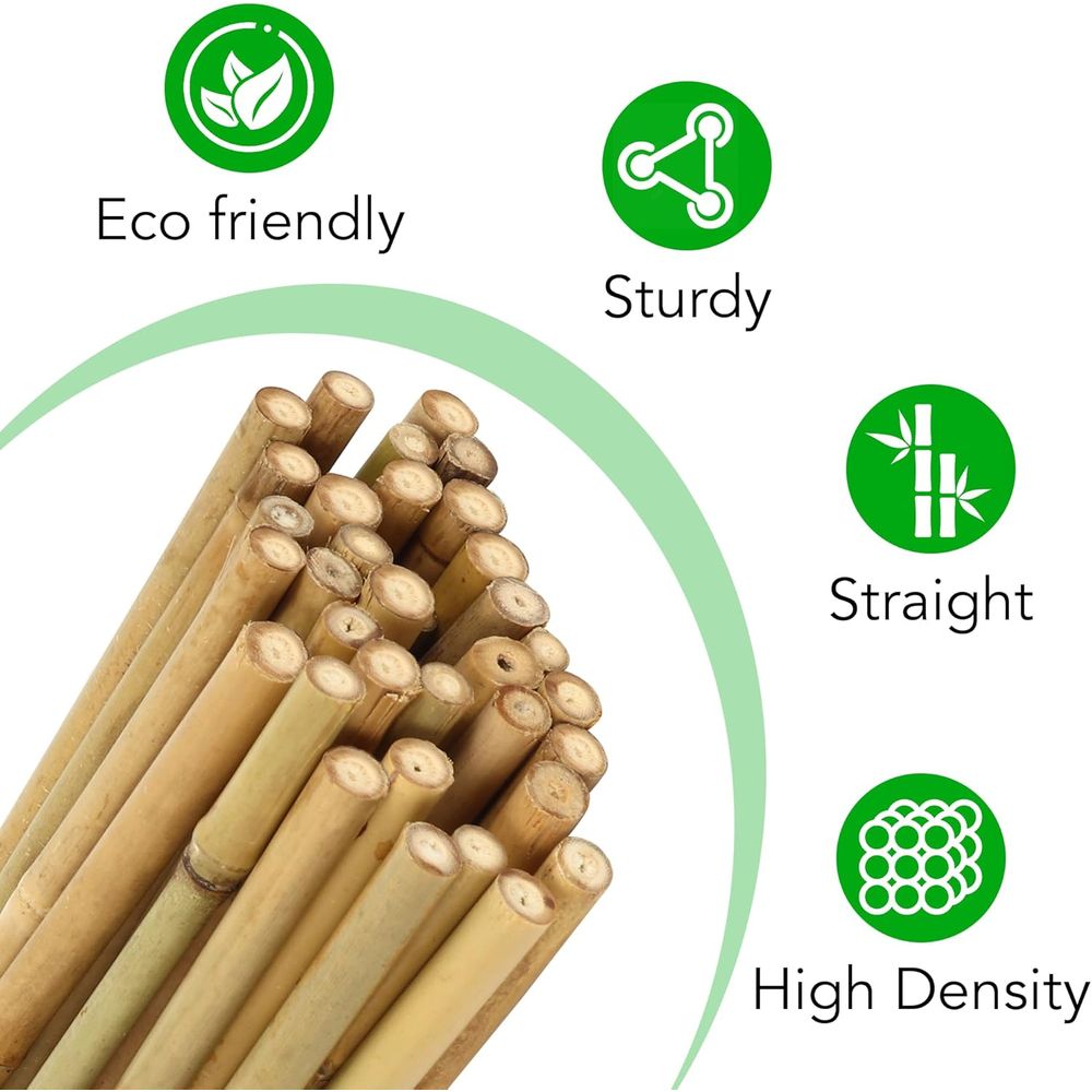 Set of 55 Bamboo Plant Stakes  - Plant Support Stake review and price