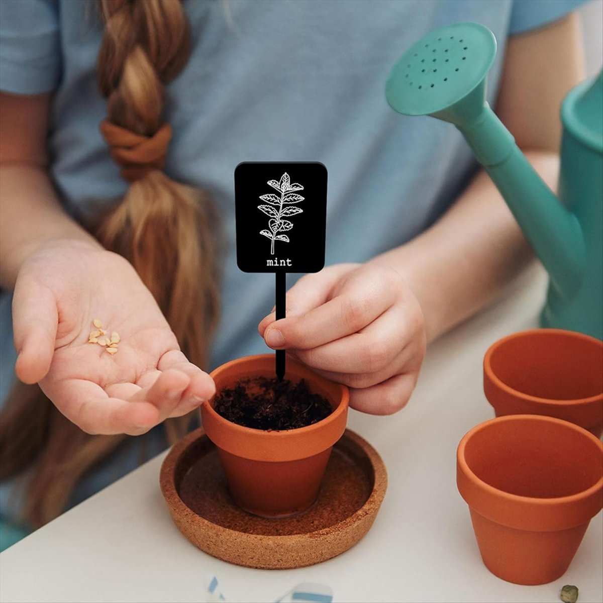AA14 24Pcs Acrylic Plant Label - Gardening Tools With Names review and price